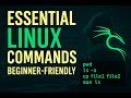 Essential Linux Commands for Hackers (Beginner-Friendly Guide)