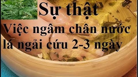 Sự thật của việc ngâm chân nước lá ngải cứu sau 2-3 ngày ?./.