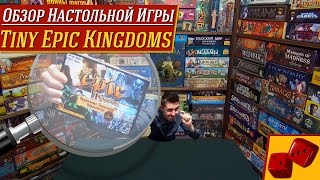 Tiny Epic Kingdoms - обзор от 