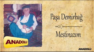 Paşa Demirbağ - Mestinazım Resimi