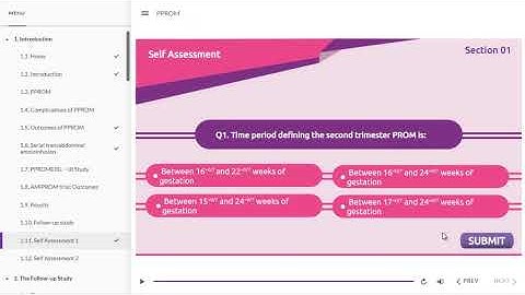 Articulate (Storyline) based SCORM | HTML5 | Video output