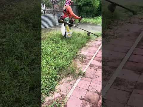 Grass cutting! Thank you manong!