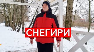 Сергей Трофимов - Снегири (cover Виталий Лобач)