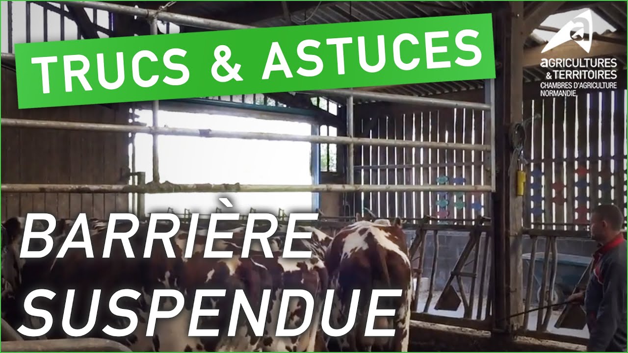Trucs et astuces d’agriculteurs : Barrière suspendue | Pascal Orvain