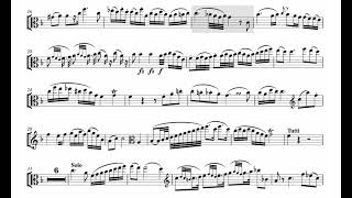Hoffmeister Viola Concerto Mvt.2 ORCHESTRAL ACCOMPANIMENT