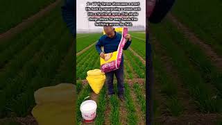 Clever DIY Fertilizer Apron