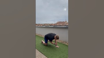 Birddog Knee to Elbow