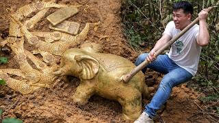 The boy discovered a treasure in the wild and became rich.