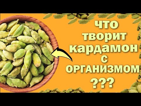 КАРДАМОН! ПОЧЕМУ СТОИТ УПОТРЕБЛЯТЬ? ПОЛЕЗНЫЕ СВОЙСТВА