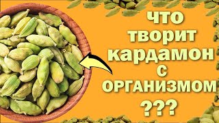 КАРДАМОН! ПОЧЕМУ СТОИТ УПОТРЕБЛЯТЬ? ПОЛЕЗНЫЕ СВОЙСТВА