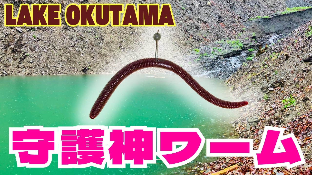 【奥多摩湖】この夏、奥多摩で１匹釣りたい人はこれを持っていってください【フリックシェイク5.8】