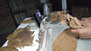 Cuban Cigar Rolling: Entubado Bunching