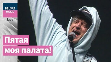 Дай Дарогу! – 5 палата / фестиваль "TUTAKA 2025"