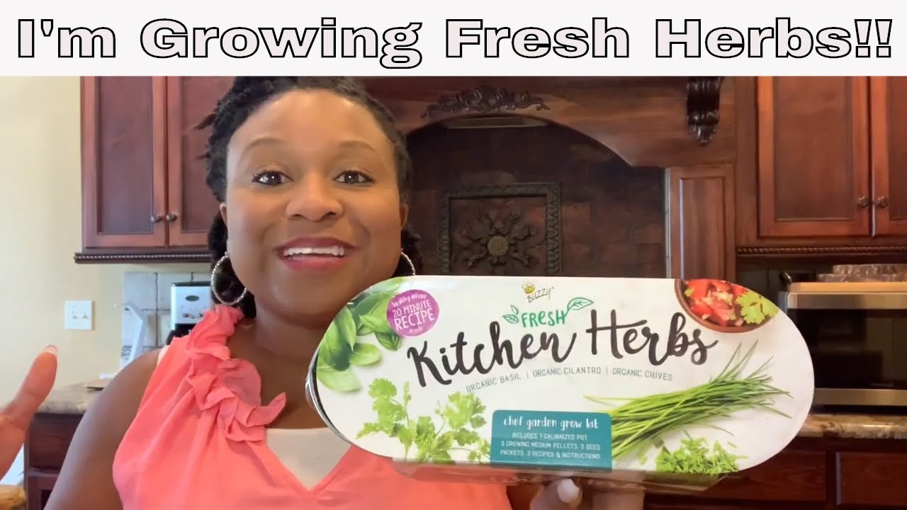 Trying Buzzy Kitchen Herbs!! YouTube
