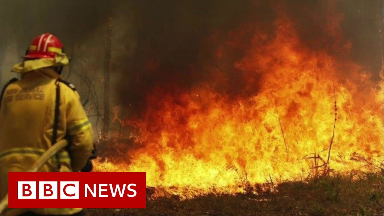 Australia fires: Preventing the spread - BBC News