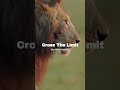 #newvideo#motivation#shortvideo