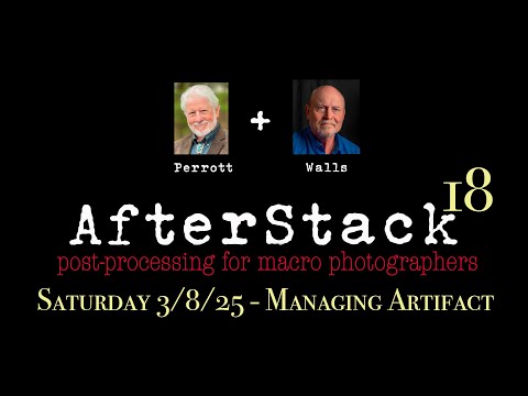 AfterStack 18 - Stacking Artifacts and more