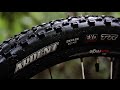 Product Video • Maxxis Ardent