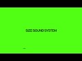 Steve angello  an21 present size sound system  010