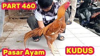 PART 460 🛑 Kudus Chicken Market, Central Java