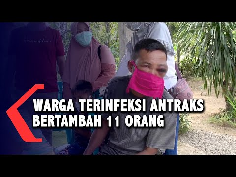 Video: Antraks Adalah Senjata Biologis - Pandangan Alternatif