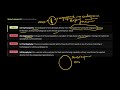 Gymnosperm MCQs, Part 1, Detailed Explaination
