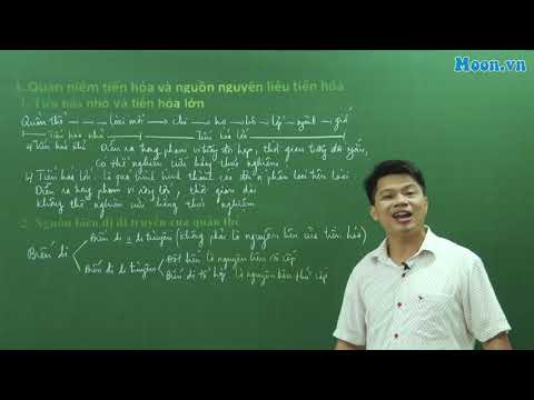 Video: Thuyết tiến hóa do chọn lọc tự nhiên là gì?