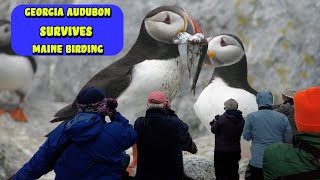 Georgia Audubon SURVIVES Maine Birding Tour