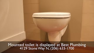 Plumbing Trends in The Northwest - Mounted Toilet.  Best Plumbing (206) 633-1700