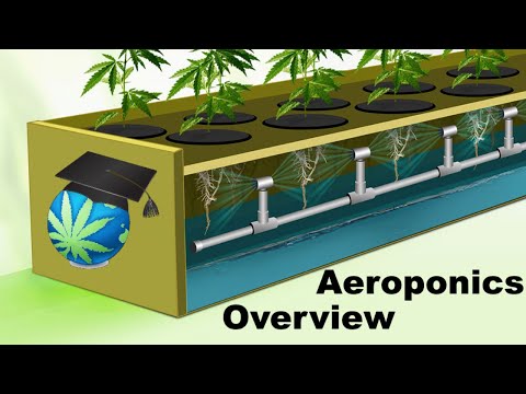 Video: Forskjellen Mellom Hydroponics Og Aeroponics