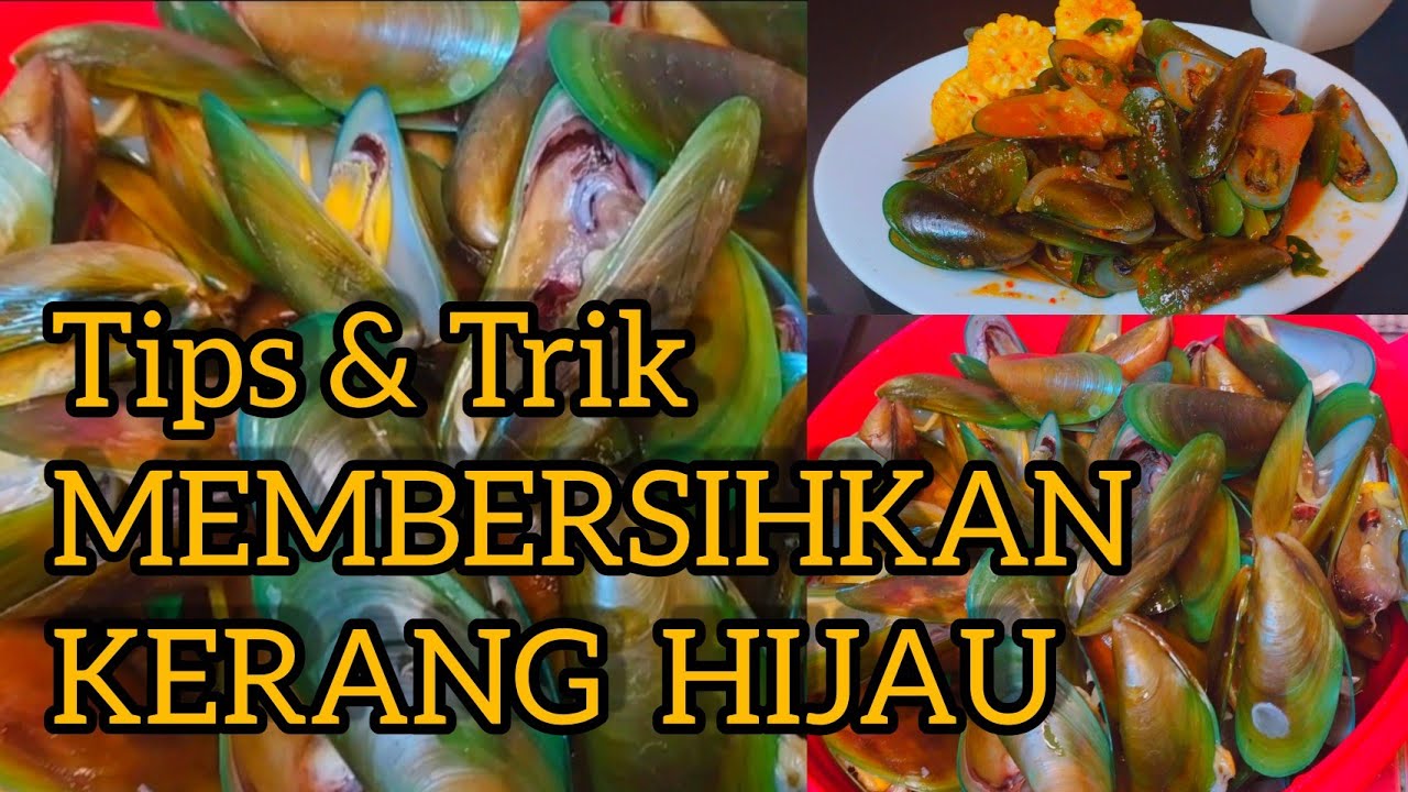 CARA MEMBERSIHKAN KERANG HIJAU ❗❗ Ternyata begini