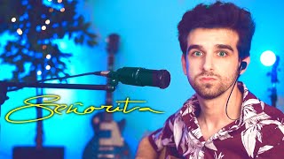 Shawn Mendes - Señorita / Daniel Cover (Acoustic Guitar)