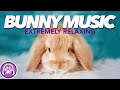 Sleep music for anxious rabbits  tried and tested