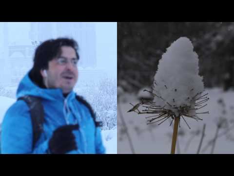 Video: Kar fotoğrafı nasıl çekilir?
