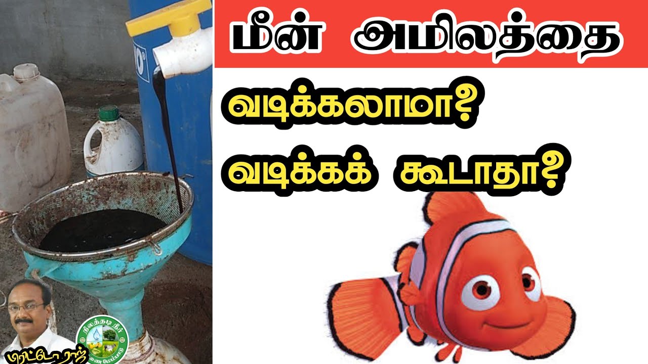 மீன் அமிலத்தை வடிக்கலாமா? வடிக்கக் கூடாதா?  