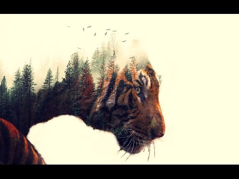Double Exposure Photoshop Action Tutorial | Just One Click