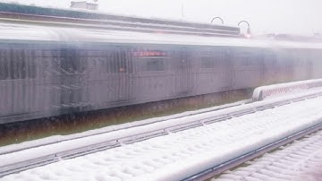 The Magnetic Fields - 