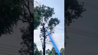 The Laser Tool Changing Tree Cutting?