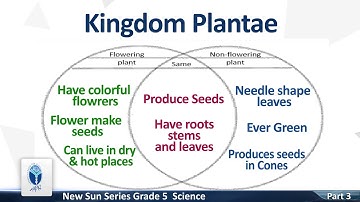 AFAQ Sun series Grade-5 Science Activity sheet (Part 03) | Student’s Resource Pack  Teaching Videos.