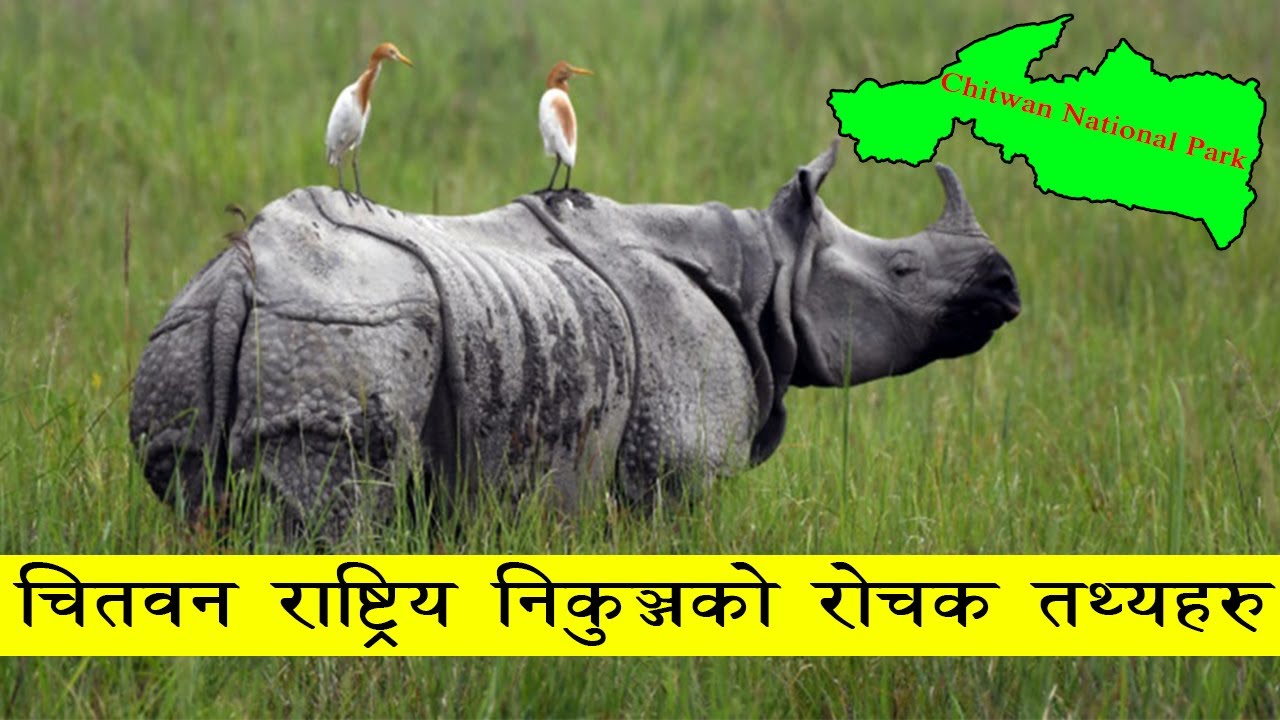 चितवन राष्ट्रिय निकुञ्जको विस्तृत विवरण र रोचक तथ्यहरु | Chitwan NP ...