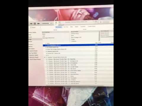 Carlitos Rossy ft Baby Rasta y Gringo-el no sabe (preview)