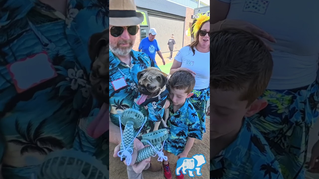Fancy Hats & Forever Families: 30 Years of DFW Pug Rescue