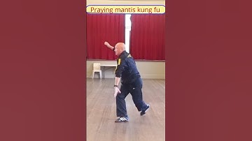 Unleash the Fury of the Praying Mantis: Master 15 Devastating Punching Techniques!