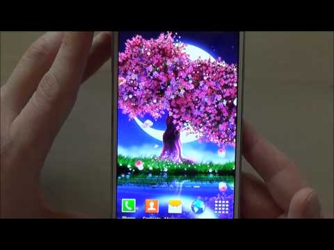 Cherry Blossom Live Wallpaper