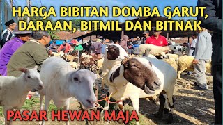 HARGA DOMBA GARUT DARAAN, BIBIT HAMIL DAN BIBIT BAWA ANAK PASAR HEWAN MAJA- MAJALENGKA