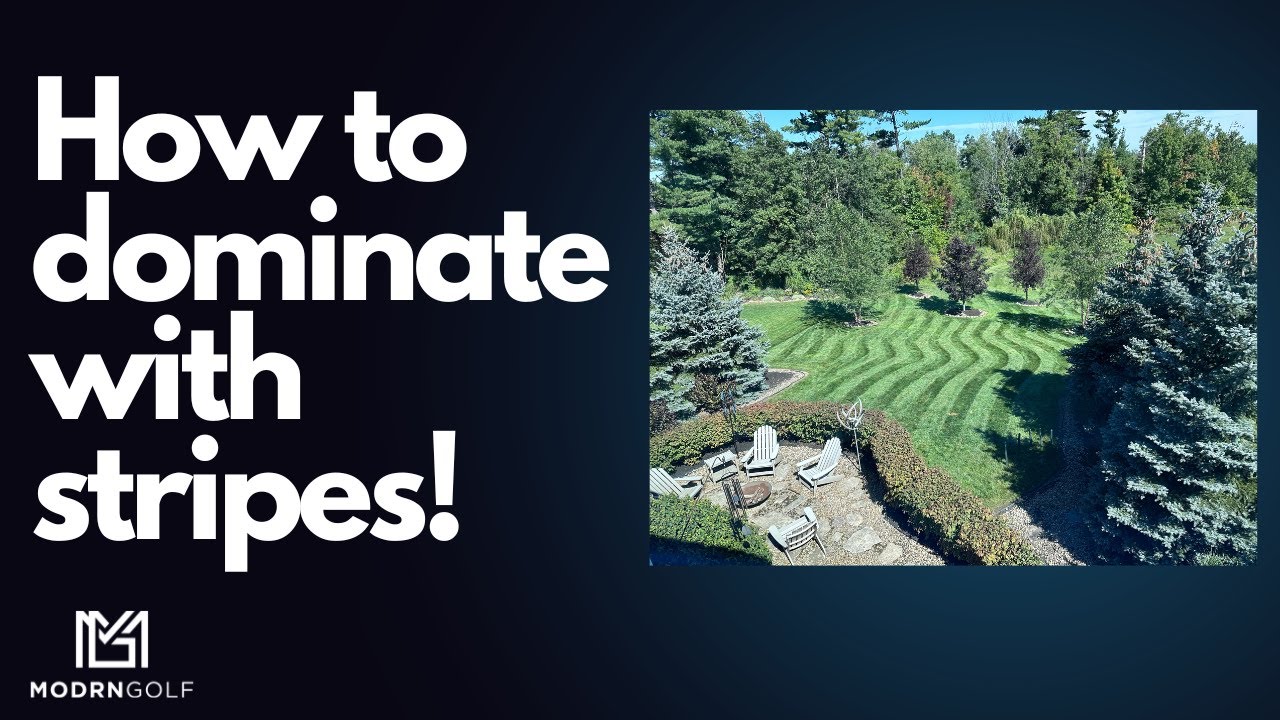 How to keep your yard looking great- every year. Lawn stripes// over-seeding// thatch