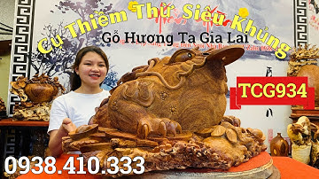 Tượng Thiềm Thừ Chiêu Hút Tài Lộc Gỗ Hương Ta Gia Lai Siêu To Khủng | Tượng Gỗ Độc Đáo
