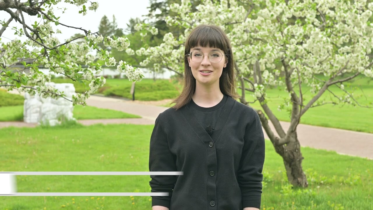 Lethbridge Visitor Attractions - Part 1