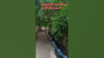 وعد الله الحق للمستضعفين – تلاوة خاشعة تهز القلوب#القرآن_الكريم 🎧💚