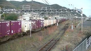 1053列車［新］EF210-116